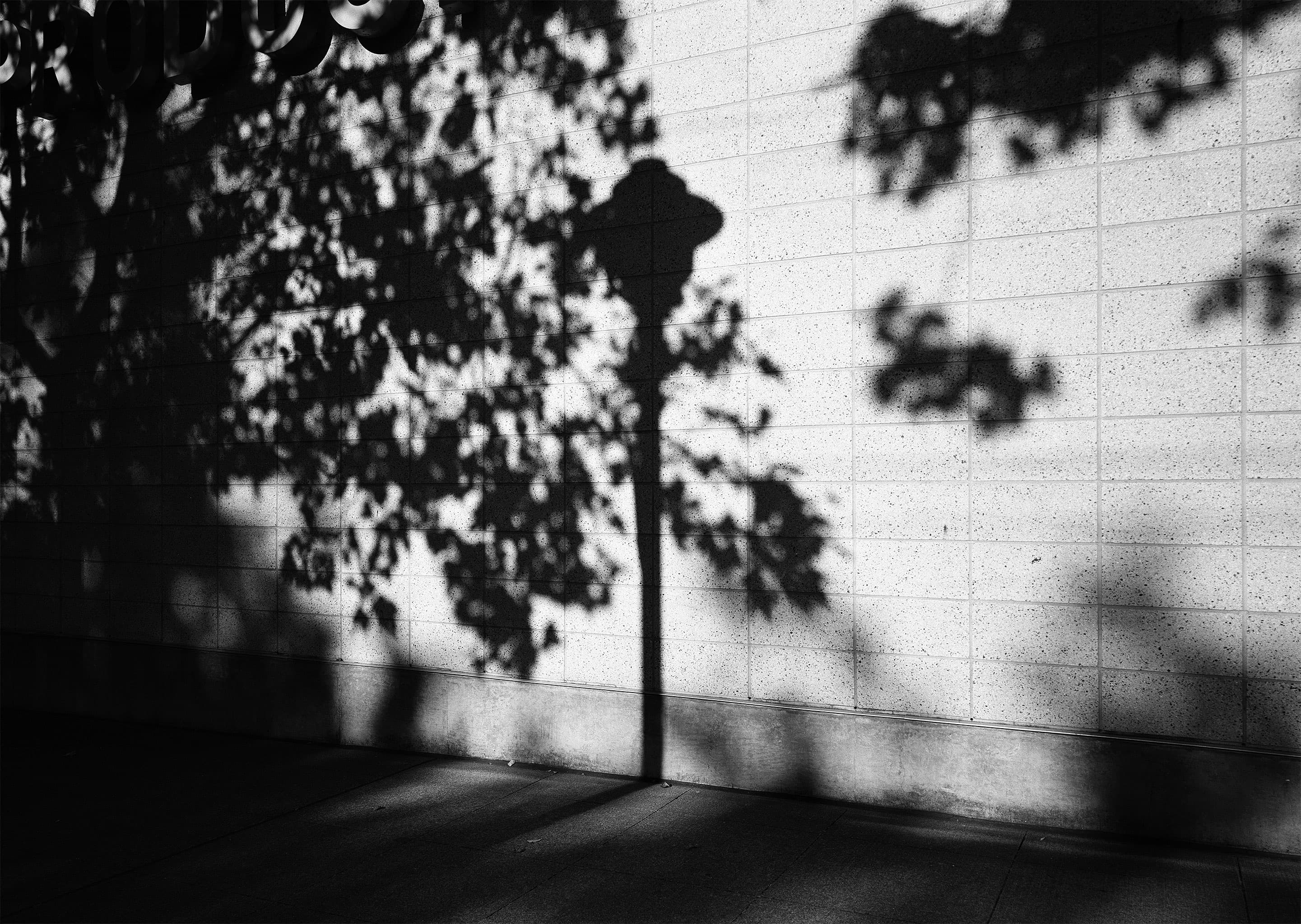 Lamp Shadow, 2021