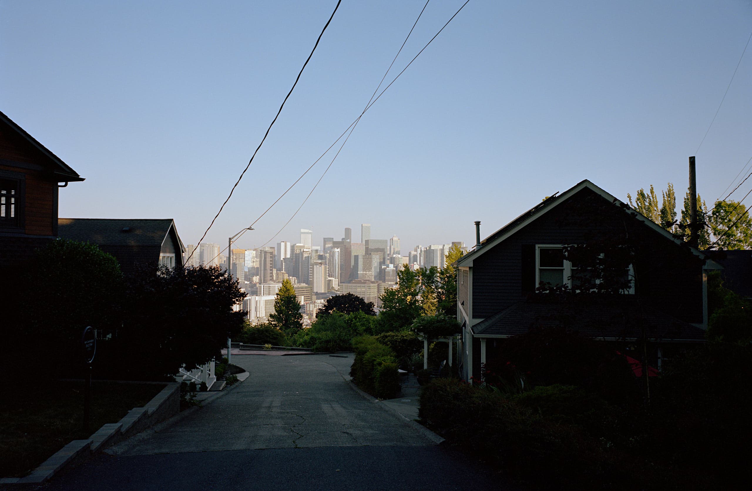 Northern Hemisphere Scene 2, 2021