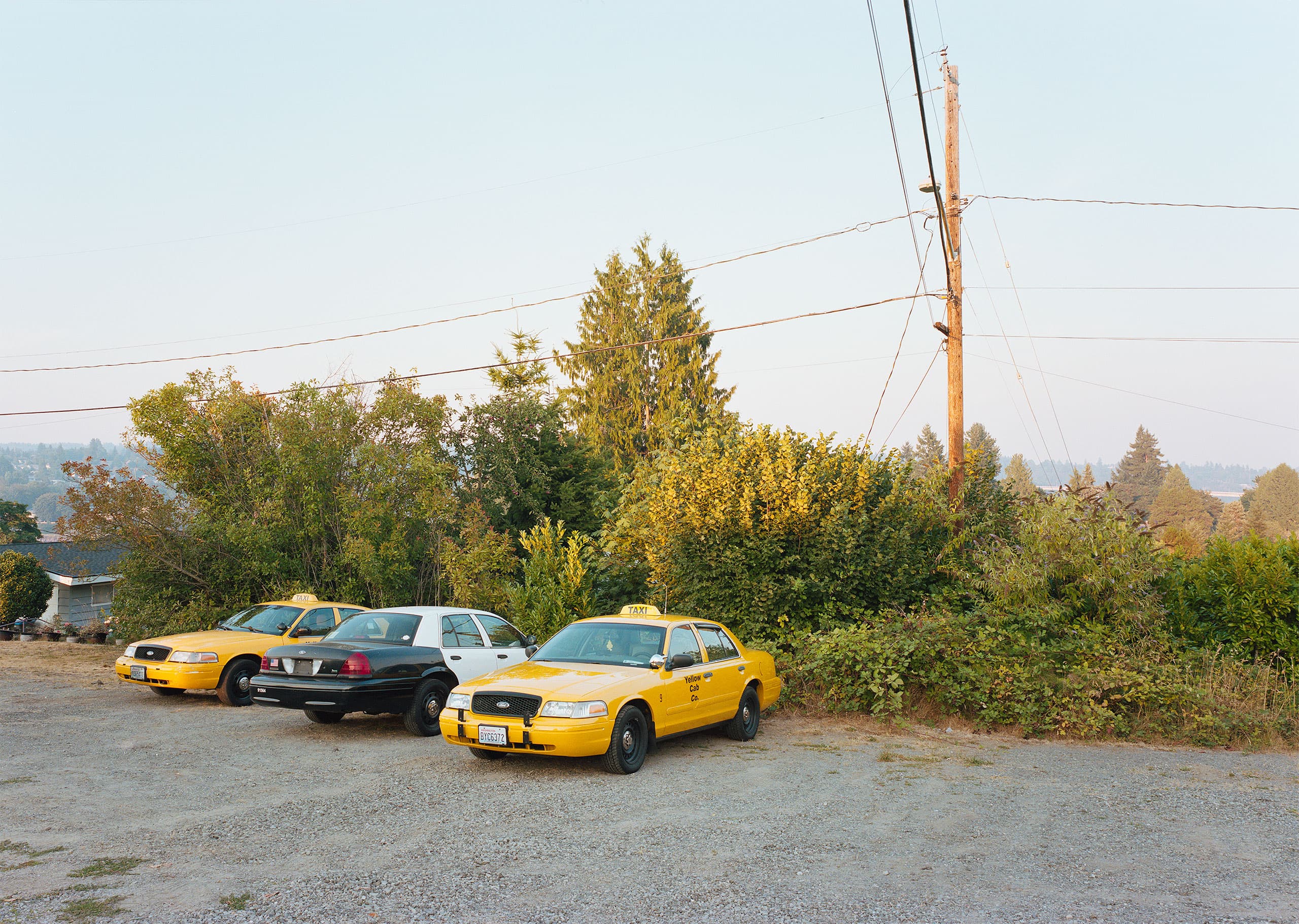 Yellow Cabs, 2021