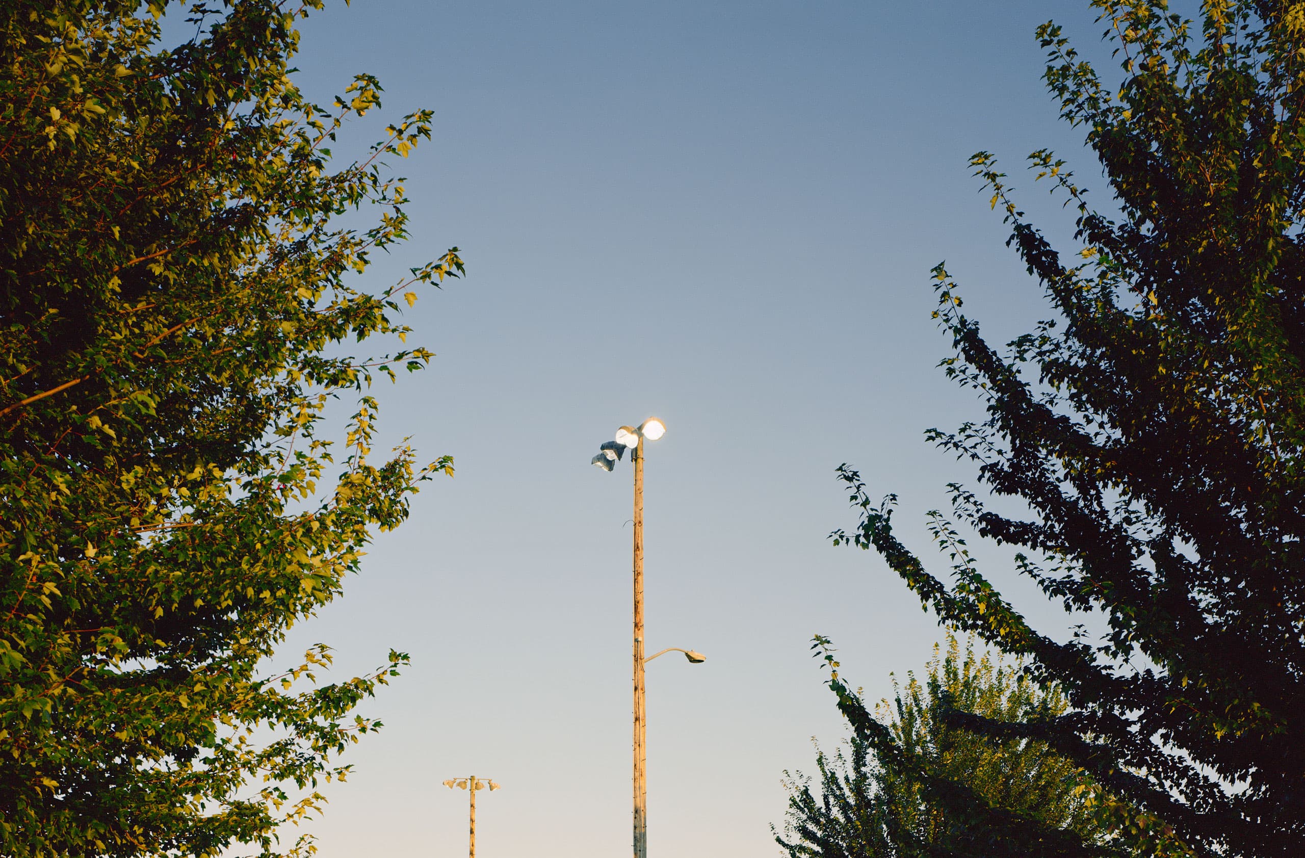 Flood Light, 2022