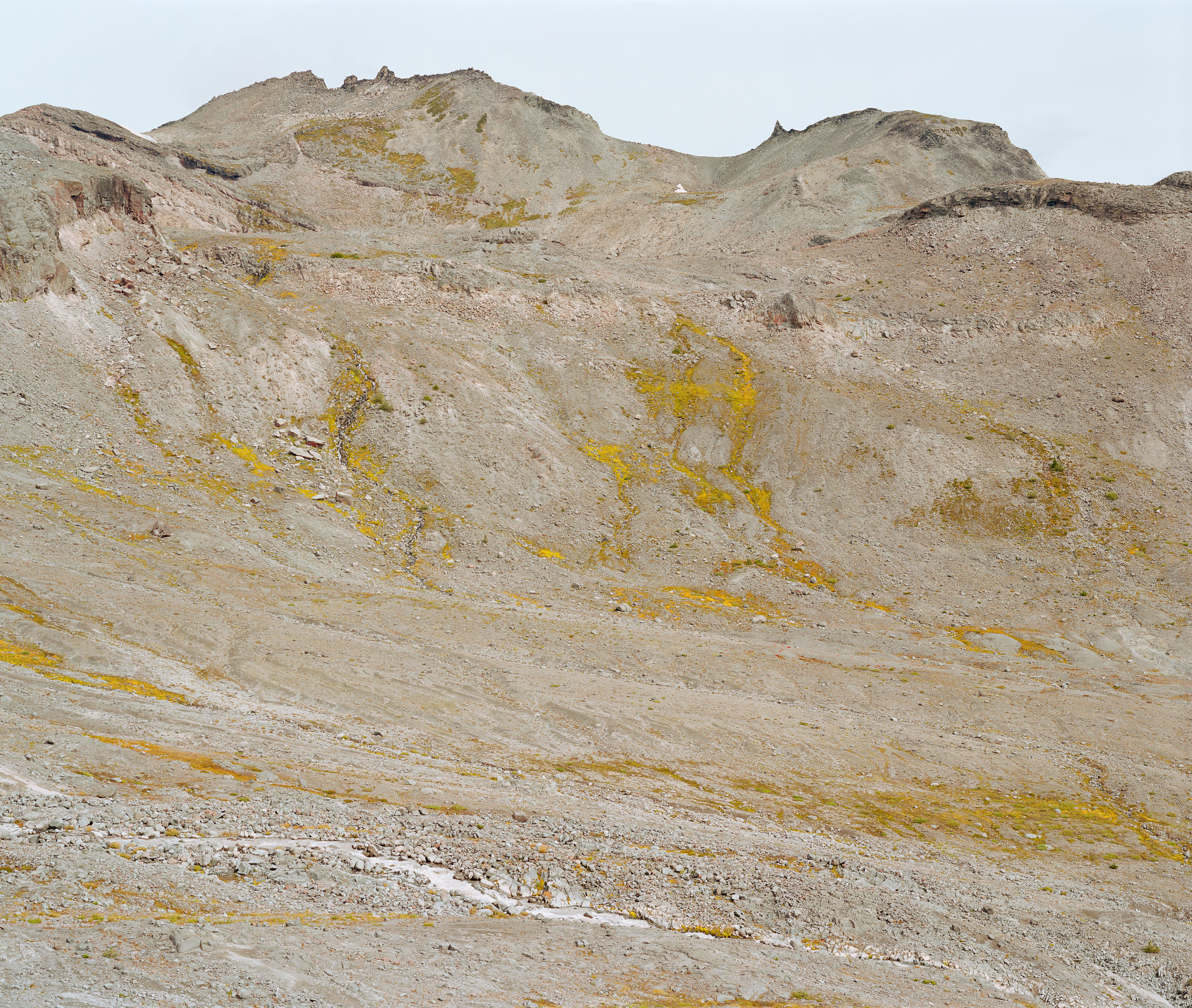 Paradise Glacier Trail 1, 2024